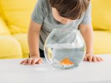 Lär dina barn om ansvar med akvariefiskar